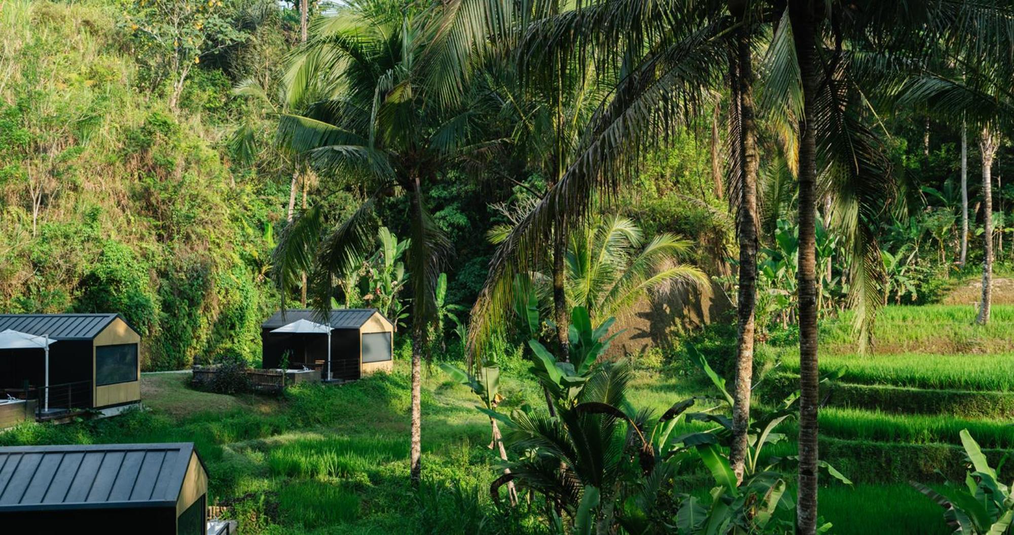Bobocabin Ubud, Bali Exteriör bild